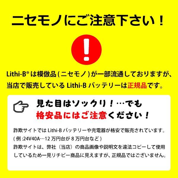 リチビー(Lithi-B) リチウムバッテリー 36V60Ah LiFePO4 (リン酸鉄リチウムイオンバッテリー) 【送料無料】 爆買_6