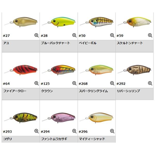 EverGreen（エバーグリーン） ファクト クラフト メール便OK : プロ