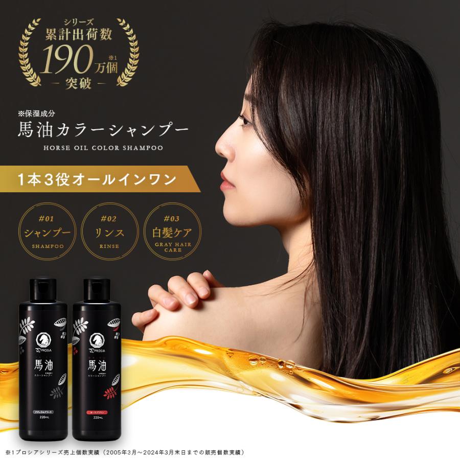 ダークブラウン カラーシャンプー 500ml 2本セット アイメディア 馬油カラーシャンプー＆ヘアカラートリートメント