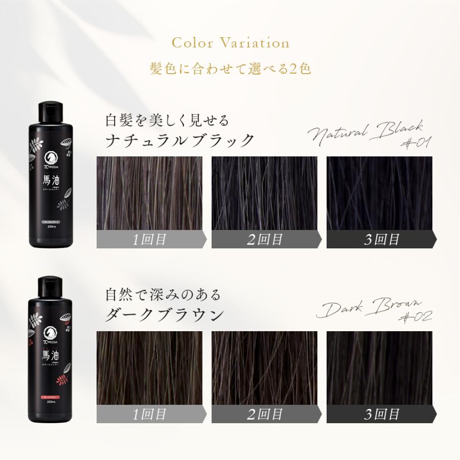 ダークブラウン カラーシャンプー 3個セット テンスター カラーシャンプー ダークブラウン ( 300ml*3個セット