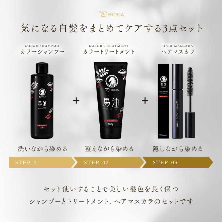 ダークブラウン カラーシャンプー 3個セット アイメディア 馬油白髪ケア3点セット プロシア カラーシャンプー ヘア