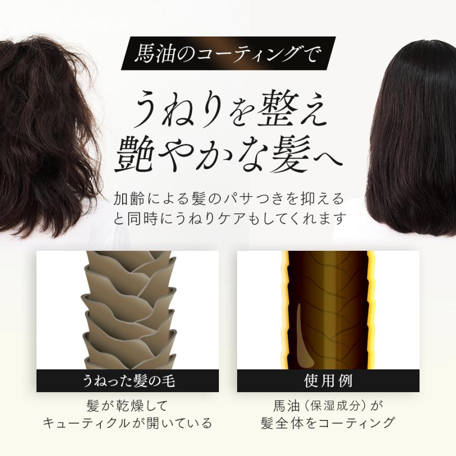 アイメディア 馬油白髪ケア3点セット プロシア カラーシャンプー ヘア