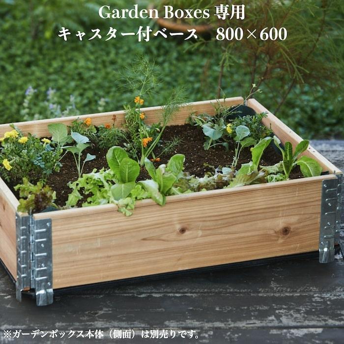 ガーデンボックス専用 800×600 キャスター付ベース ボックス別売り エープラスデザイン 花壇 プランター 野菜 家庭菜園 | 