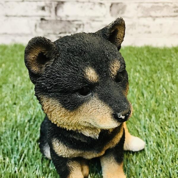 柴犬（黒）子犬のオブジェ 置物 可愛い リアル インテリア かわいい