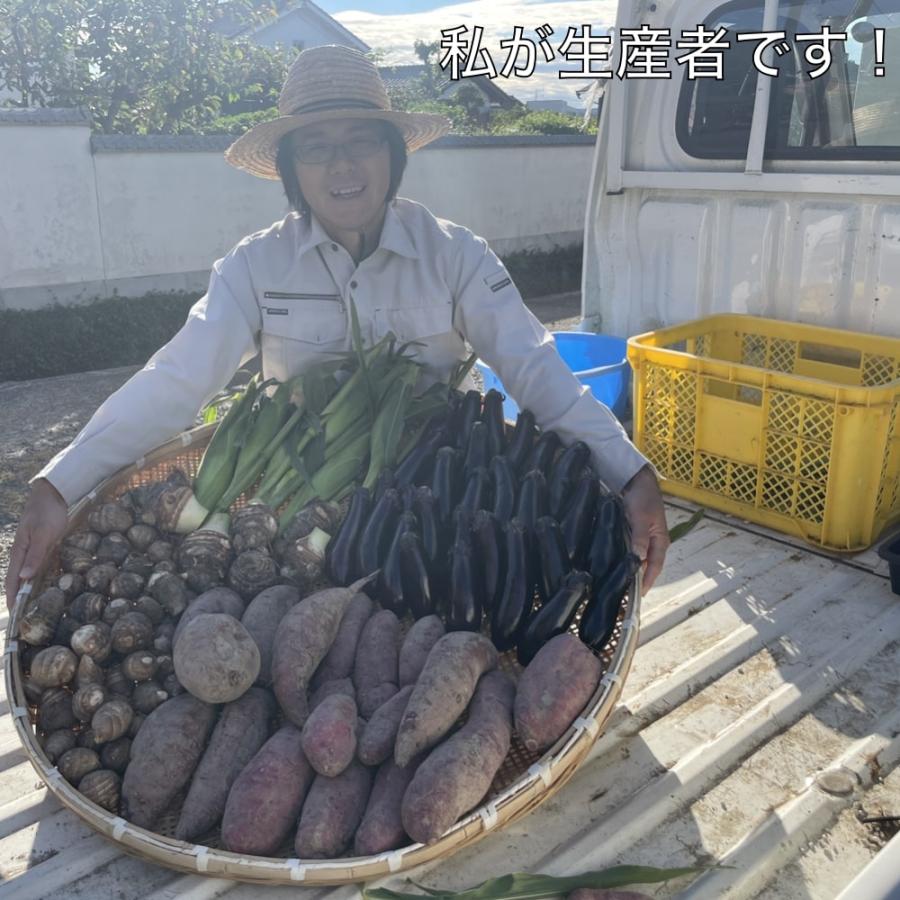 7月上旬発送 朝採れ とうもろこし 10kg 極甘品種おおもの 24本前後（10.5kg以上) 2Lから3Lサイズ トウモロコシ |  | 01