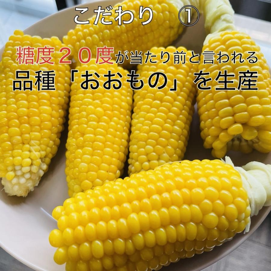 7月上旬発送 朝採れ とうもろこし 3kg 極甘品種おおもの 7本から9本（3.5kg以上) 2Lから3Lサイズ トウモロコシ |  | 02