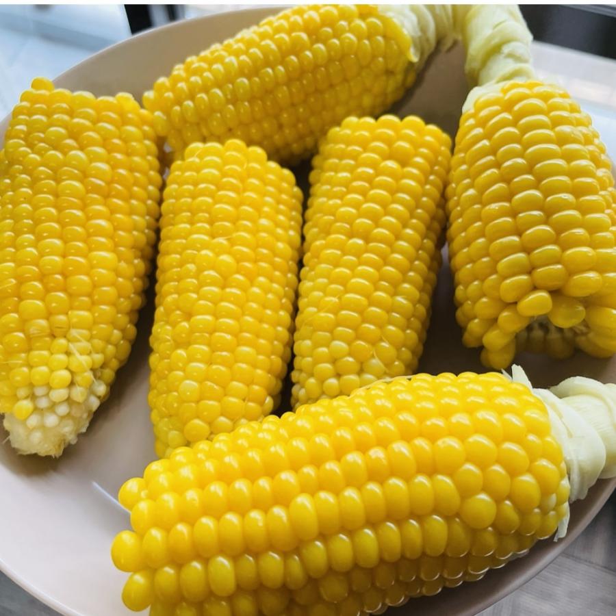 7月上旬発送 朝採れ とうもろこし 3kg 極甘品種おおもの 7本から9本（3.5kg以上) 2Lから3Lサイズ トウモロコシ |  | 07