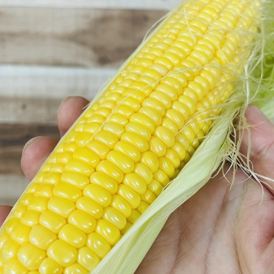 7月上旬発送 朝採れ とうもろこし 5kg 極甘品種おおもの 12本前後（5.5kg以上) 2Lから3Lサイズ トウモロコシ |  | 05