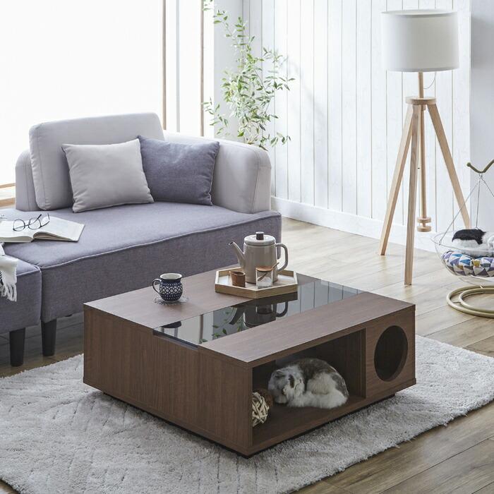 センターテーブルキャット ワンちゃん・ネコちゃんの秘密基地 引出し付き 犬 猫 国産品 |  | 02
