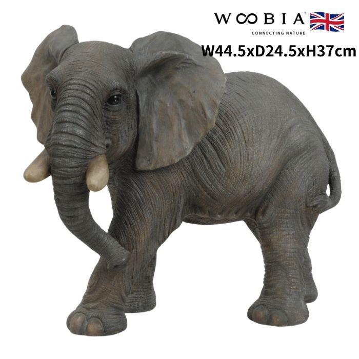 置物 ゾウ 象 中 高さ37cm woobia 動物 おしゃれ 大きい 玄関インテリア 庭 ガーデン かわいいオブジェ 北欧 リアル 大型 面白い ウービア | WOOBIA