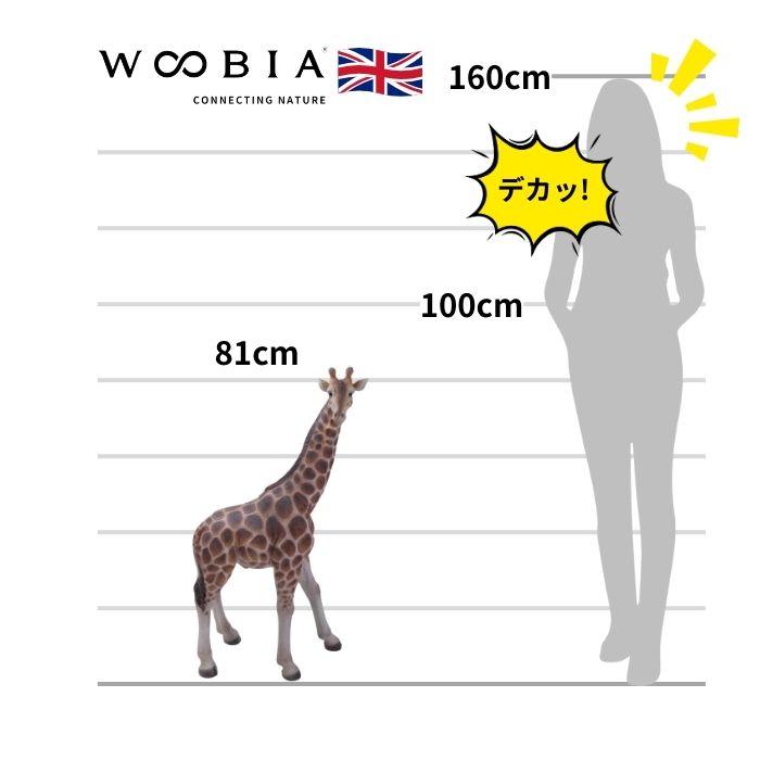 置物 キリン 大 高さ81cm woobia おしゃれ 大きい 玄関 インテリア 庭 ガーデン かわいい オブジェ 北欧 リアル 大型 面白い ウービア | WOOBIA | 01