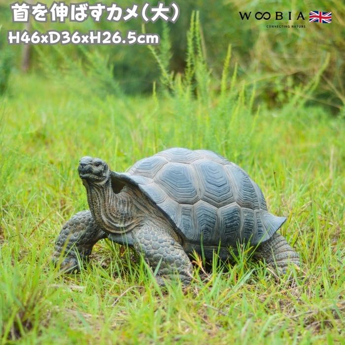 置物 首を伸ばすカメ 大 高さ26.5cm woobia 動物 おしゃれ 大きい 玄関 