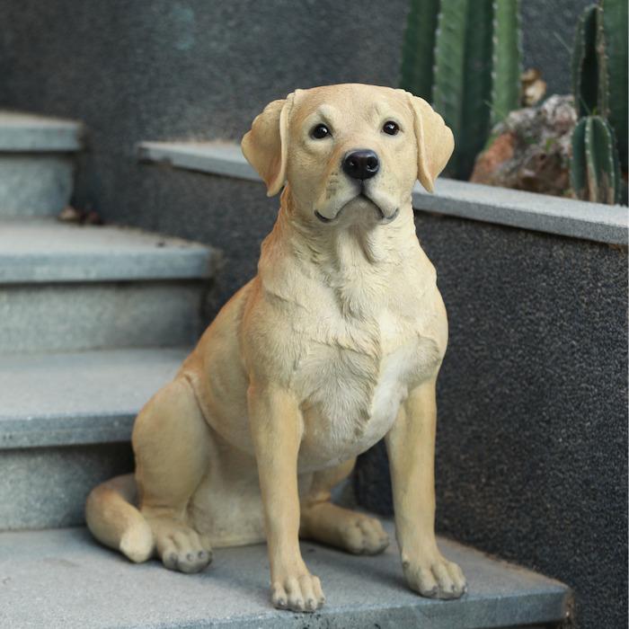 置物 お座りラブラドール・レトリバー 犬 イヌ 特大 高さ54cm 動物