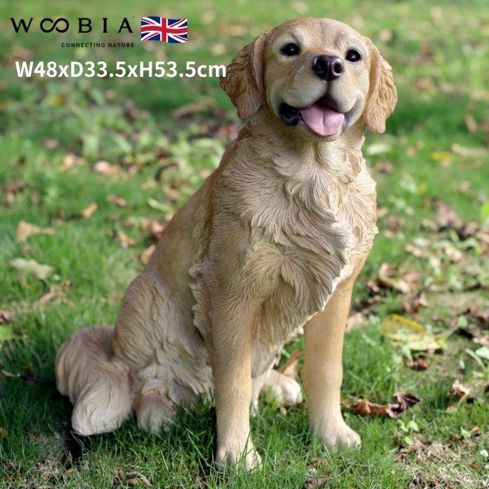 置物 お座りゴールデン・レトリバー 犬 イヌ 特大 高さ53.5cm 動物