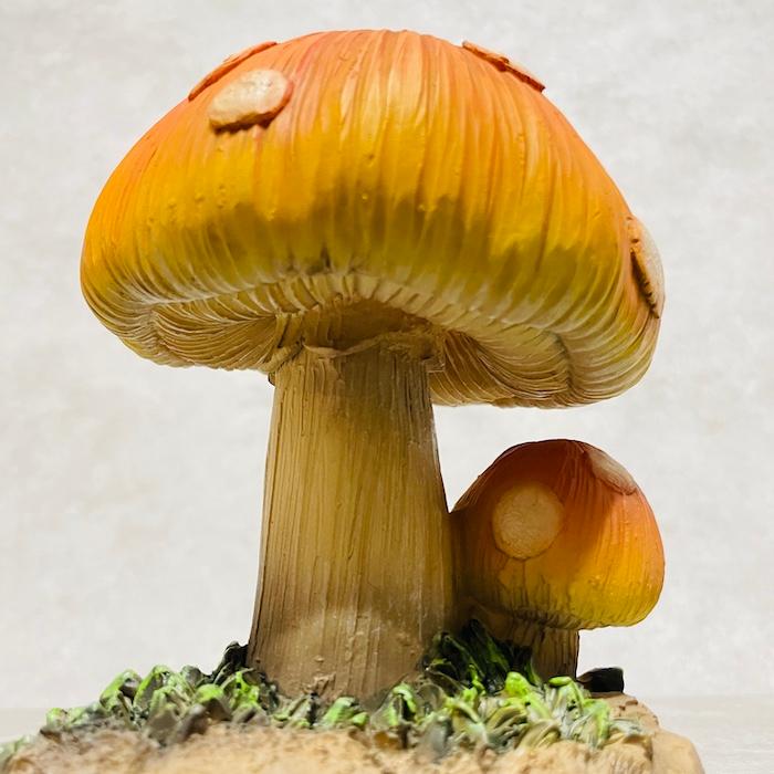 不思議なキノコの置物 高さ14.8cm ダブル 玄関 おしゃれ 贈り物 リアル インテリア 雑貨 ガーデン 玄関先 卓上 雑貨 |  | 05
