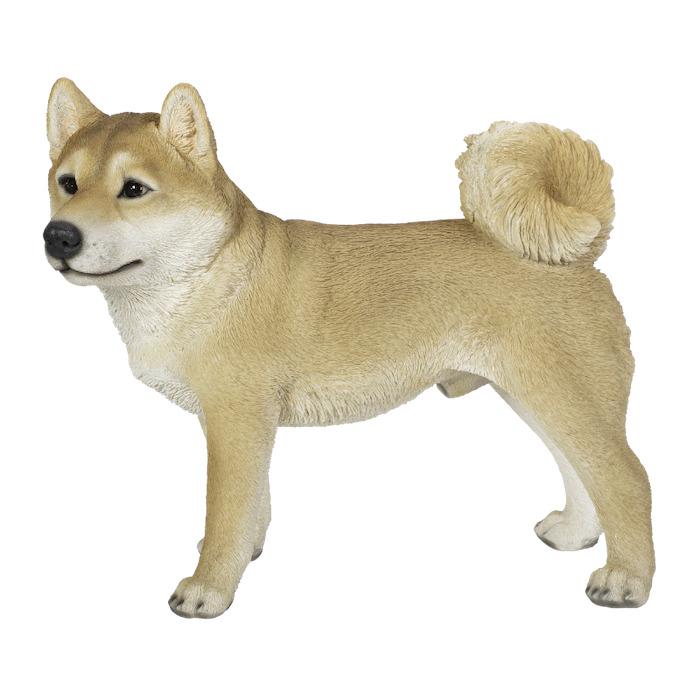 置物 左向きに立つ柴犬 イヌ 大 高さ41.5cm woobia 動物 おしゃれ 大きい 玄関インテリア 庭 ガーデン かわいいオブジェ 北欧 リアル 大型 面白い ウービア |  | 06
