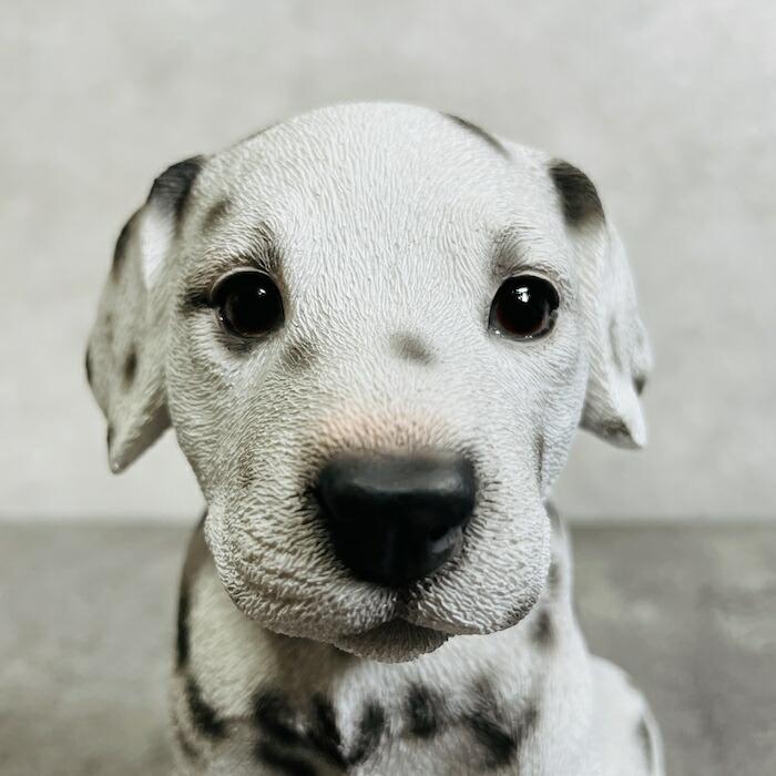 かわいい 犬 置物 お座り ダルメシアン 動物 おしゃれ 玄関 贈り物 可愛い インテリア ガーデンオーナメント |  | 05