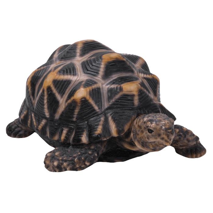 かわいい 亀の置物 ホシガメ（中） 動物 おしゃれ 玄関 インテリア ガーデンオーナメント 庭 |  | 01