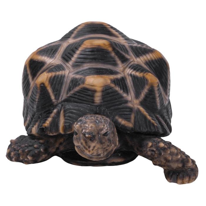 かわいい 亀の置物 ホシガメ（中） 動物 おしゃれ 玄関 インテリア ガーデンオーナメント 庭 |  | 04