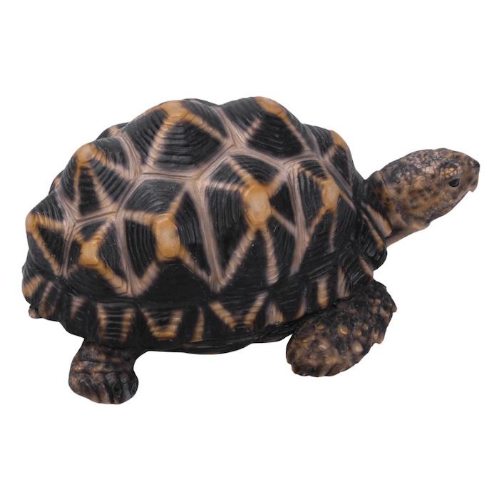 かわいい 亀の置物 ホシガメ（中） 動物 おしゃれ 玄関 インテリア ガーデンオーナメント 庭 |  | 05