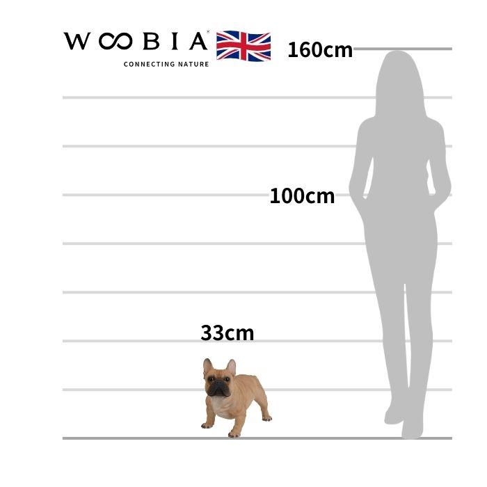置物 フレンチ・ブルドッグ 大 イヌ 犬 高さ33cm woobia 動物 おしゃれ 大きい 玄関インテリア 庭 ガーデン かわいいオブジェ 北欧 リアル 大型 面白い ウービア |  | 01