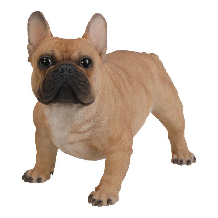 置物 フレンチ・ブルドッグ 大 イヌ 犬 高さ33cm woobia 動物 おしゃれ 大きい 玄関インテリア 庭 ガーデン かわいいオブジェ 北欧 リアル 大型 面白い ウービア |  | 04