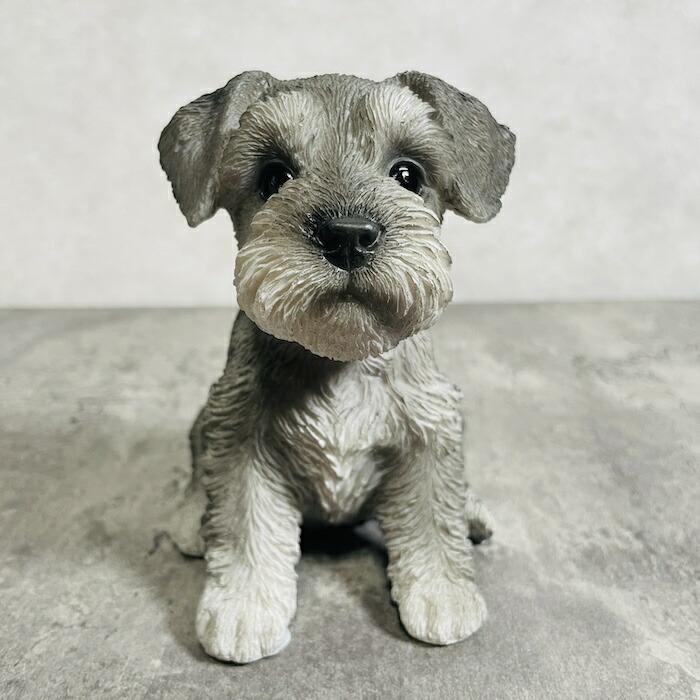 かわいい 犬 置物 お座りシュナウザー 動物 おしゃれ 玄関 贈り物 可愛い インテリア ガーデンオーナメント | 