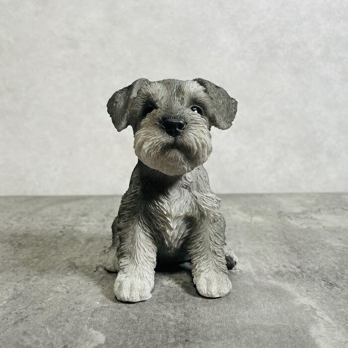 かわいい 犬 置物 お座りシュナウザー 動物 おしゃれ 玄関 贈り物 可愛い インテリア ガーデンオーナメント |  | 01