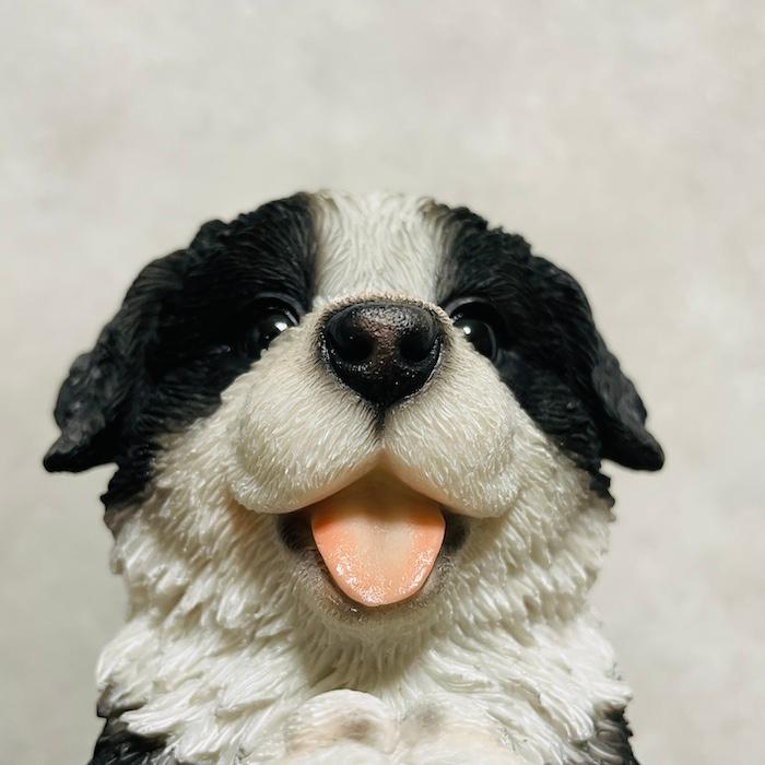 かわいい犬の置物 おねだりボーダーコリー 高さ22cm イヌ 動物 おしゃれ 玄関 インテリア ガーデン 庭 |  | 08