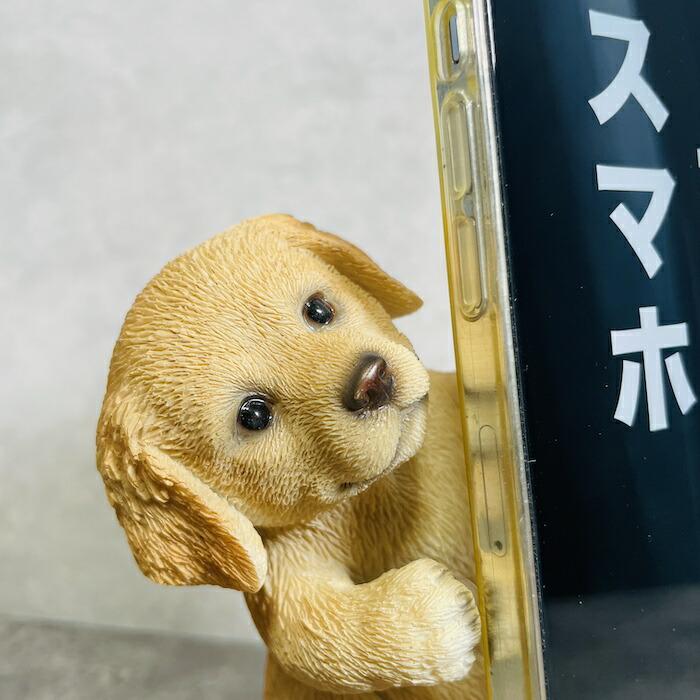 スマホスタンド ゴールデン・レトリバー 犬 卓上 アニマル プレゼントギフト 置物 可愛い おしゃれ 動物 ホルダー 写真立て |  | 01