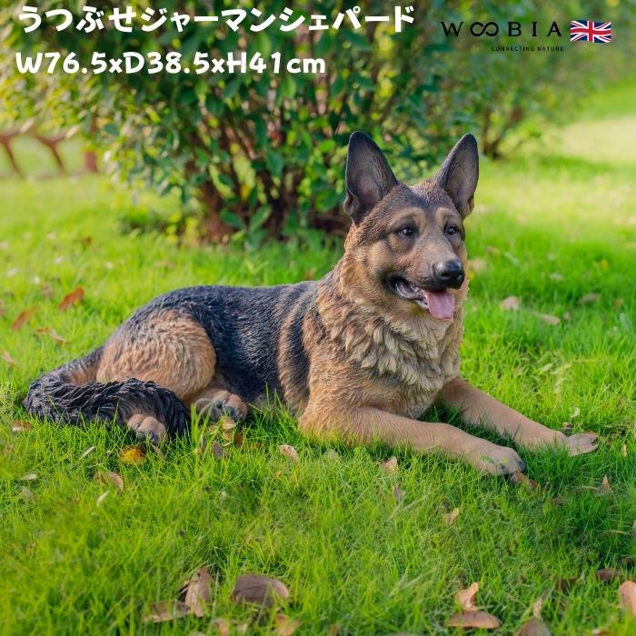 置物 うつぶせジャーマンシェパード 犬 イヌ 高さ30cm おしゃれ 大きい