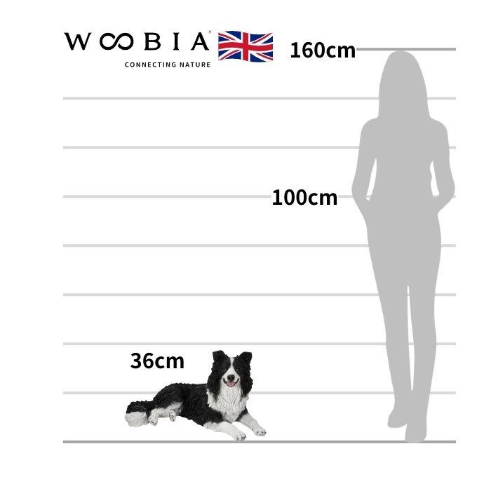 置物 うつぶせボーダーコリー 犬 イヌ 高さ36cm おしゃれ 大きい 玄関 インテリア 庭 ガーデン かわいい オブジェ 北欧 リアル 大型 面白い ウービア_1