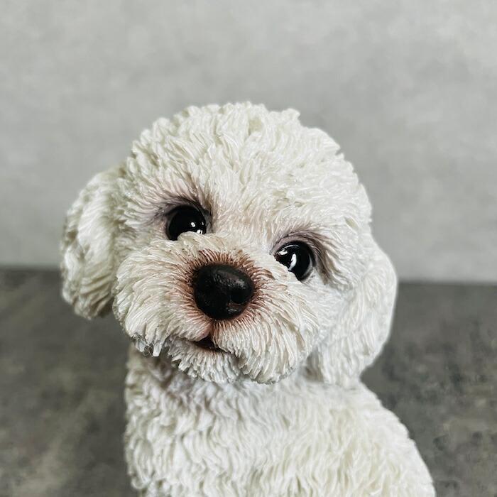 かわいい 犬 置物 振り返るトイプードル 白 動物 おしゃれ 玄関 贈り物 可愛い インテリア ガーデンオーナメント トイレ 卓上 |  | 02