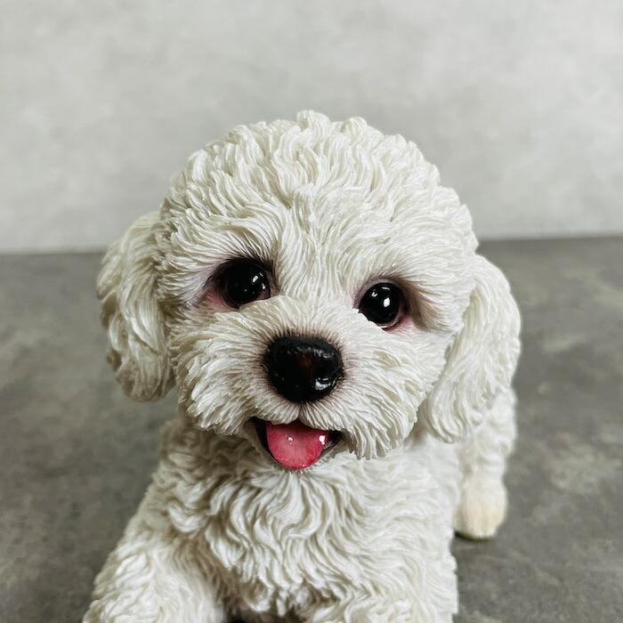 かわいい 犬 置物 見上げるトイプードル 白 動物 おしゃれ 玄関 贈り物