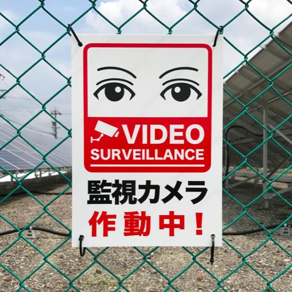 目が合う防犯用 監視カメラ作動中 看板 標識 35cm×25cm 四隅穴アケ 結束バンド付き 太陽光発電 |  | 01