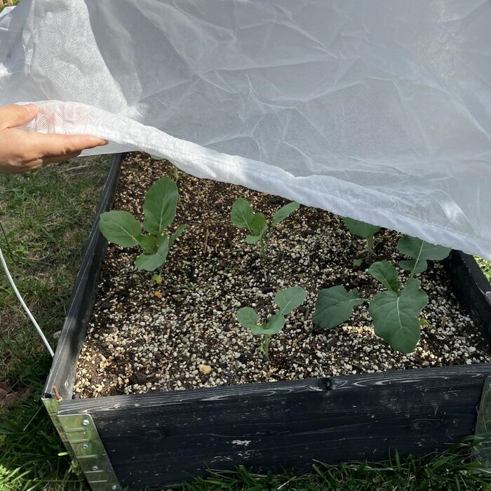 ガーデンボックス1208専用 保護カバーセット garden boxes 花壇 プランター 家庭菜園 野菜 |  | 05