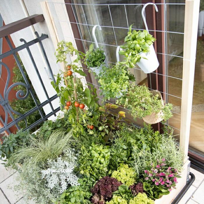 ガーデンボックスW1200専用 トレリスセット garden boxes 花壇 プランター 家庭菜園 野菜 |  | 15