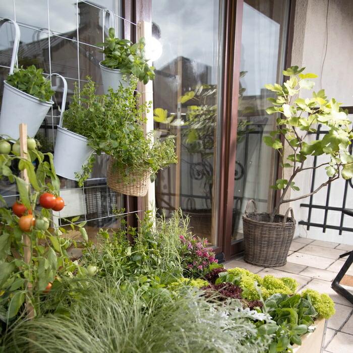 ガーデンボックスW1200専用 トレリスセット garden boxes 花壇 プランター 家庭菜園 野菜 |  | 04