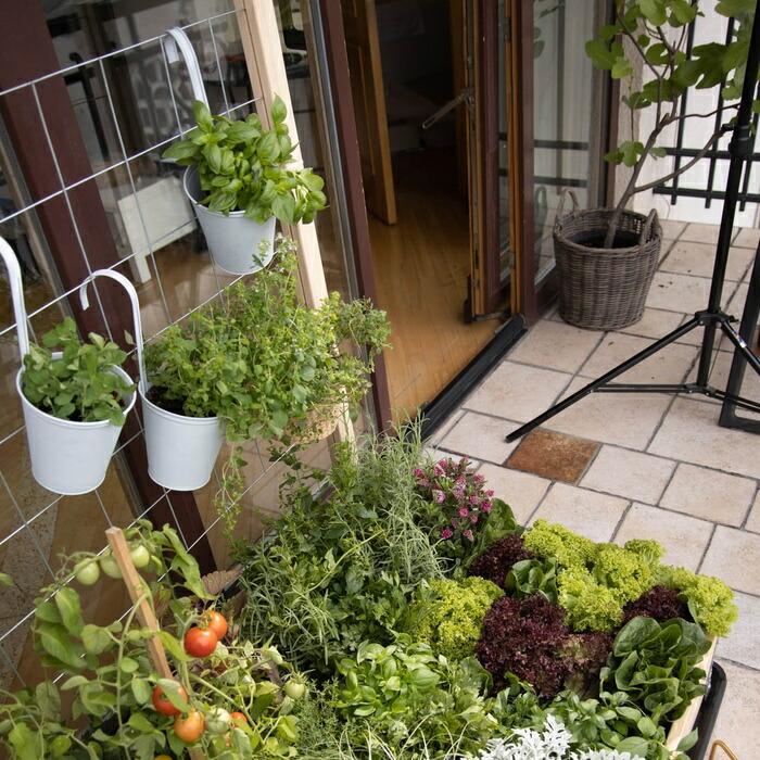 ガーデンボックスW1200専用 トレリスセット garden boxes 花壇 プランター 家庭菜園 野菜 |  | 05