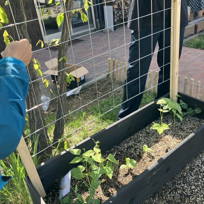 ガーデンボックスW1200専用 トレリスセット garden boxes 花壇 プランター 家庭菜園 野菜 |  | 08