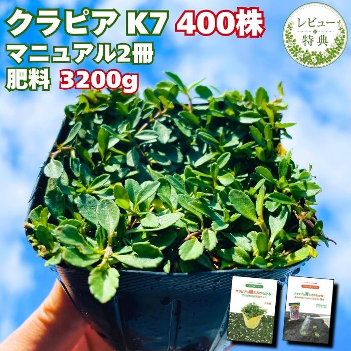 レビュー特典あり クラピア K7 白 有機一発肥料30g付き 新品種 9cmポット苗 400鉢セット 有機一発肥料30g付き 完全植栽マニュアル付き 花 ガーデニング 新品種 白色 雑草対策 グランドカバー Kurapia K7 400 雑草対策 ガーデニング 日用雑貨のお店