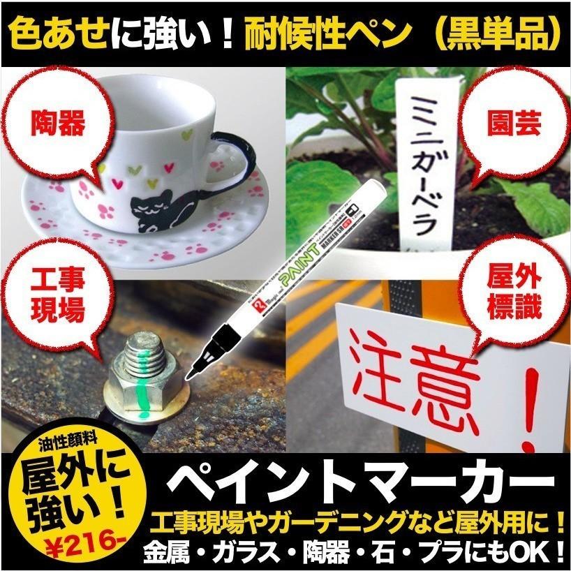 ペイントマーカーSR No.551 黒 細字 筆記線幅 1.2mm 油性顔料インキ 耐候性 耐光性 耐水性 マジック 1Pパック｜prosit｜07