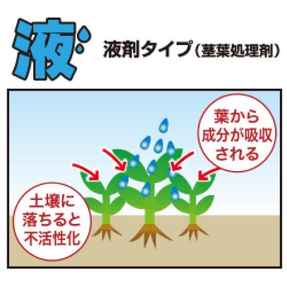 強力 除草剤 ネコソギクイックプロFL 液体 5L 12，500平米まで 業務用 即効 速攻 レインボー薬品 スギナ ササなど対応_1