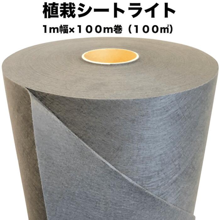 植栽シートライト 通根タイプ クラピア専用 植栽時におすすめ 1m×100m