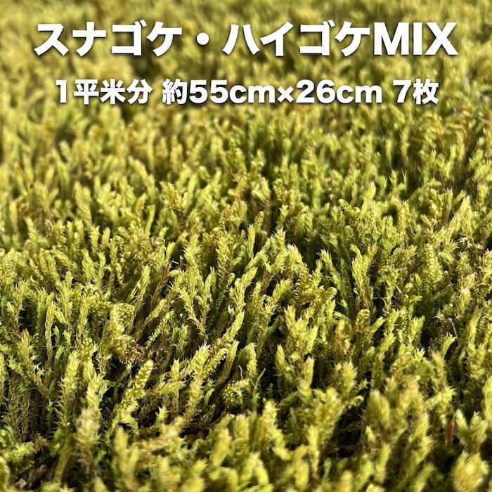 スナゴケ、ハイゴケ2種混合　1.5平米分 スナゴケ、ハイゴケ2種混合 1.5平米分 盆栽・苔玉