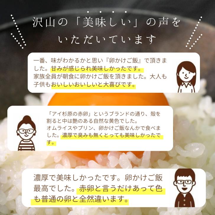 【常温便】業務用 Lサイズ アイ杉原の赤卵 80個 生卵60個＋破損保証20個 徳島県知事認定 とくしま特選ブランド認定品 この卵ハマります！ 徳島県産 朝採り｜prosper-tokushima｜04