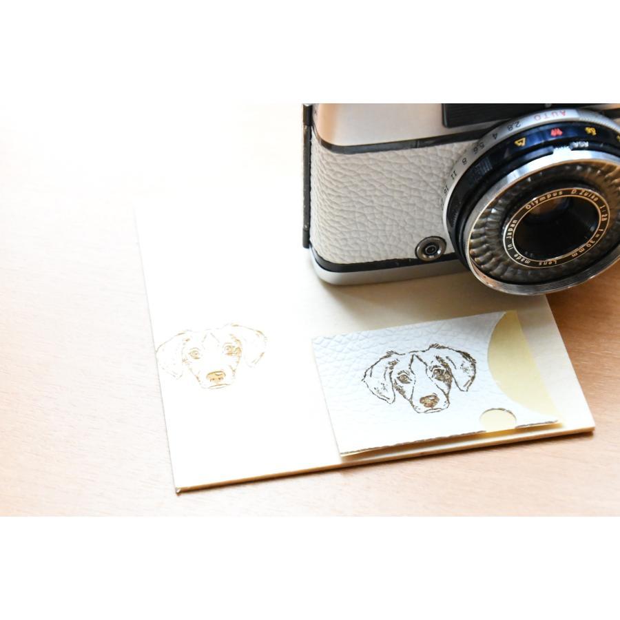OLYMPUS PEN フィルムカメラ 中古 D3 olympus pen ホワイト OLYMPUS PEN フィルムカメラ 中古 D3 olympus pen ホワイト