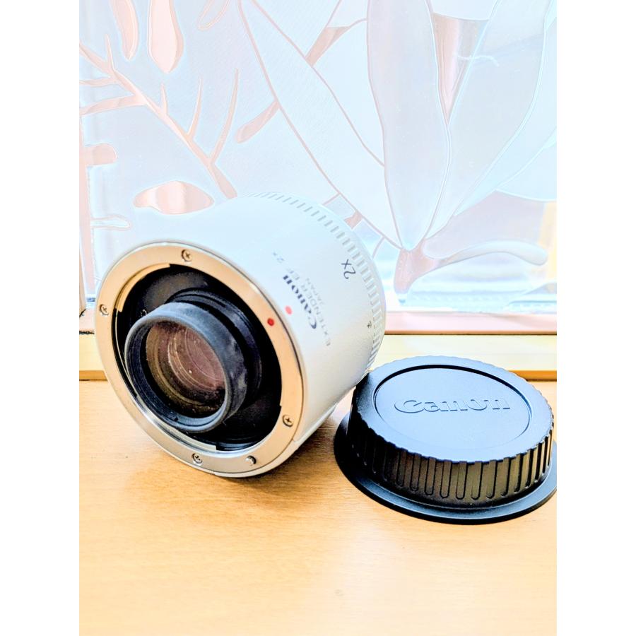 EFレンズ Canon キャノン EXTENDER エクステンダー EF 2X 整備 レンズ  