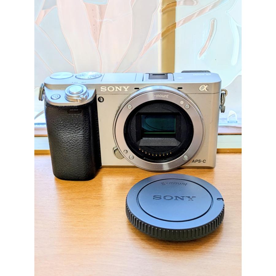 美品 ミラーレス 一眼レフカメラ 初心者 SONY α6000 ボディ 整備 センサークリーニング【中古】 | α（ソニー）