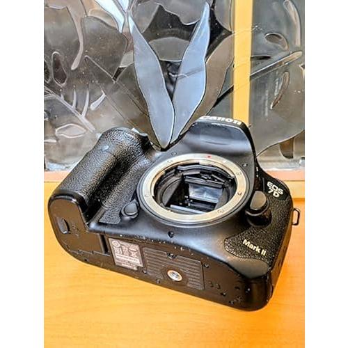 一眼レフカメラ 初心者 Canon デジタル一眼レフカメラ EOS 7D Mark II ボディ 整備 センサークリーニング【中古】 | EOS 7D | 02